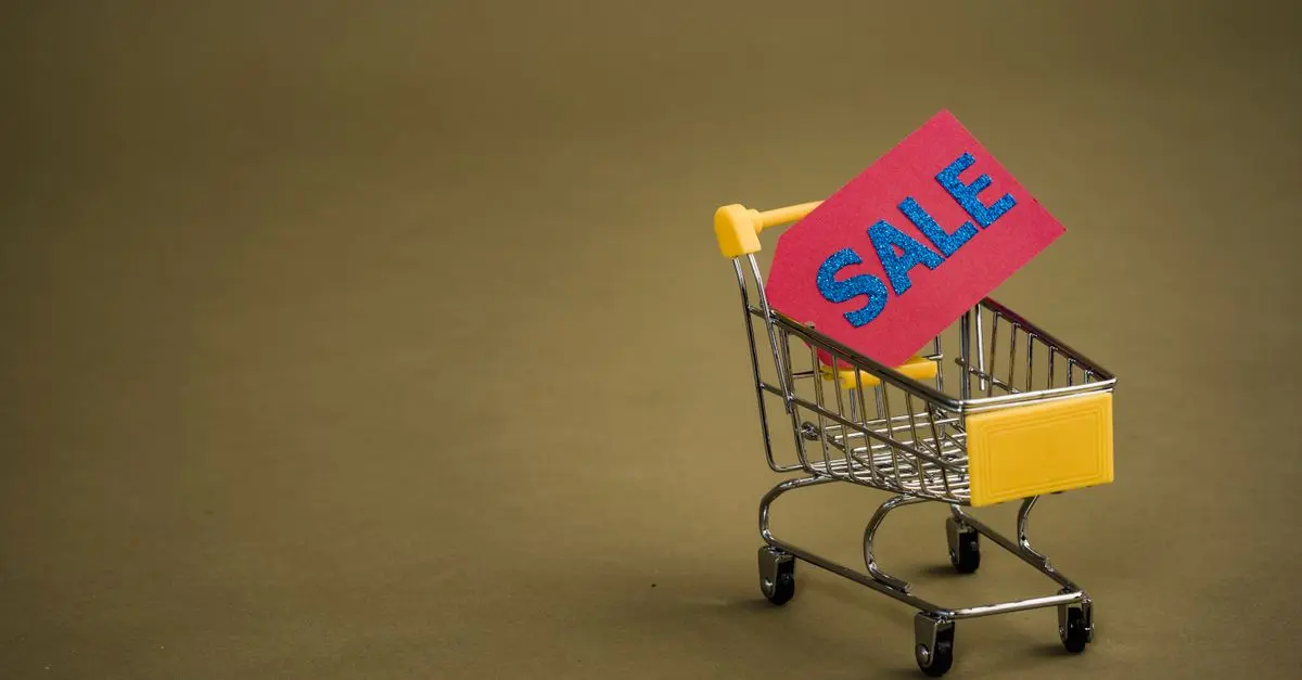 Les Articles Indispensables à Surveiller Pendant les Soldes
