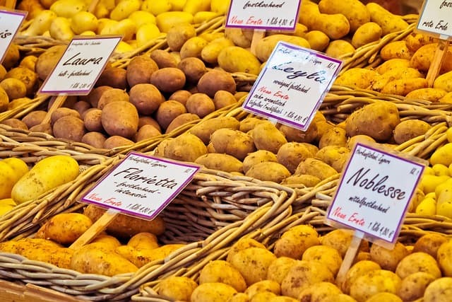 Top Soldes : Les Produits à Surveiller Absolument